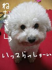 画像 1829.jpg
