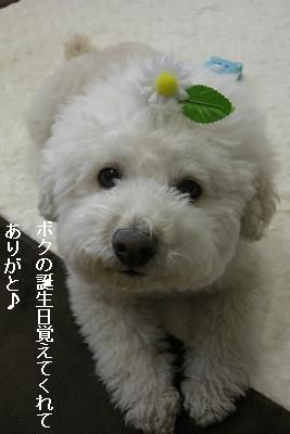 画像 183.jpg