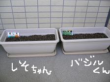 画像 2562.jpg