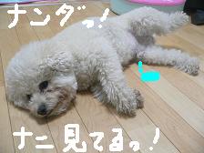 画像 3119.jpg