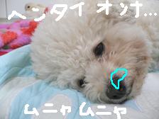 画像 3122.jpg