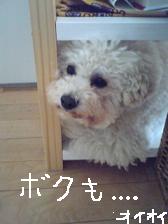 画像 3361.jpg