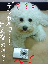 画像 3366.jpg
