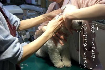 画像 348.jpg