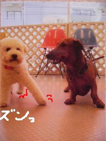 画像 3975.jpg