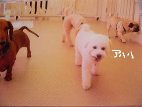 画像 3976.jpg