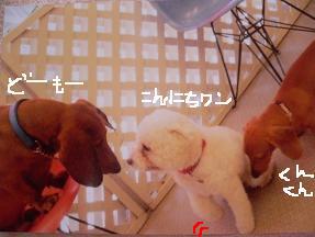 画像 3977.jpg