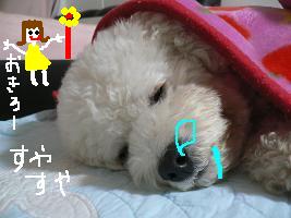 画像 4393.jpg