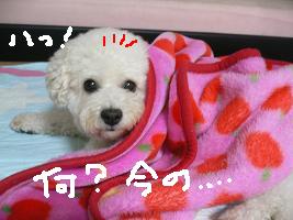 画像 4394.jpg