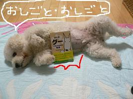 画像 4397.jpg