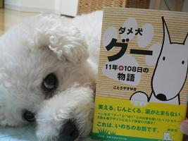 画像 4398.jpg