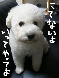 画像 4847.jpg