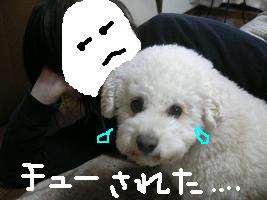 画像 5194.jpg