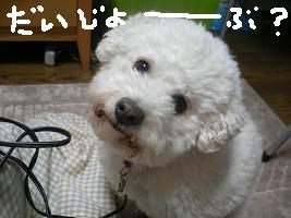 画像 5199.jpg