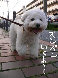 画像 6814.jpg