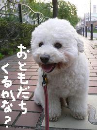 画像 6816.jpg