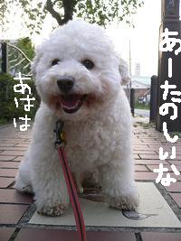 画像 6817.jpg
