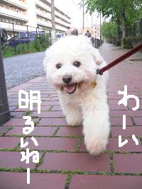 画像 6818.jpg