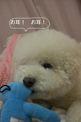画像 818.jpg
