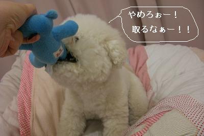 画像 819.jpg