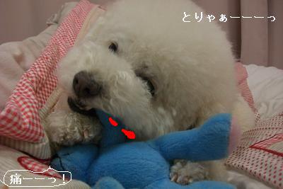 画像 826.jpg