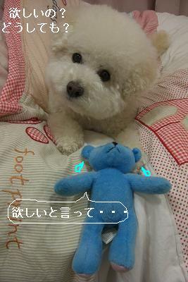 画像 830.jpg
