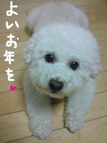 画像 9449.jpg