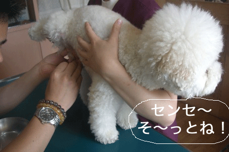 CIMG4168.gif