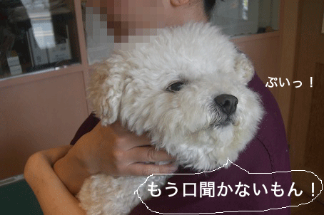 CIMG4175.gif