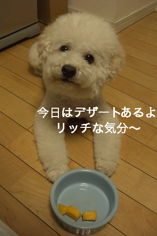 CIMG4673.gif