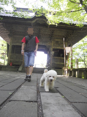 DSCN0136.gif