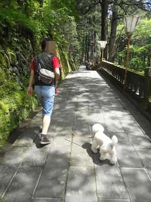 DSCN0139.gif