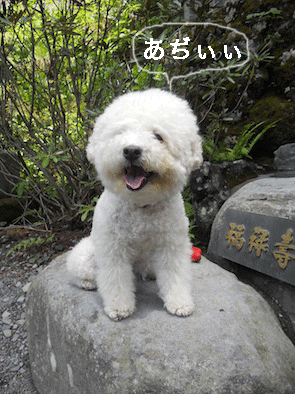 DSCN0143.gif