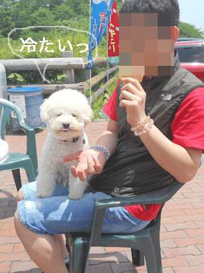 DSCN0155.gif