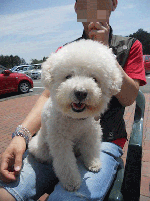 DSCN0157.gif