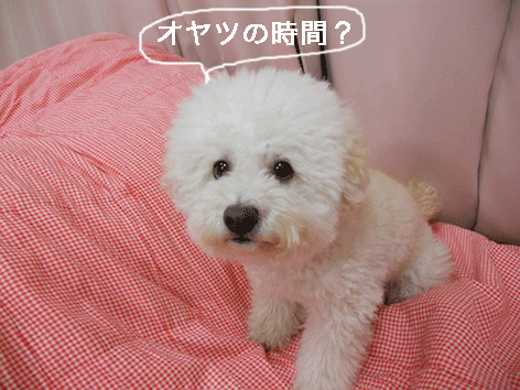 DSCN0253.gif