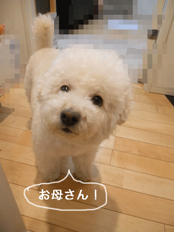 DSCN1052.gif