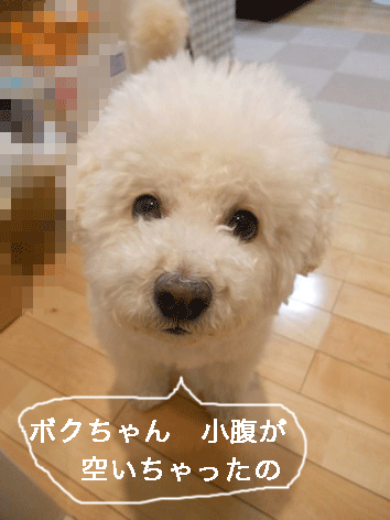 DSCN1054.gif