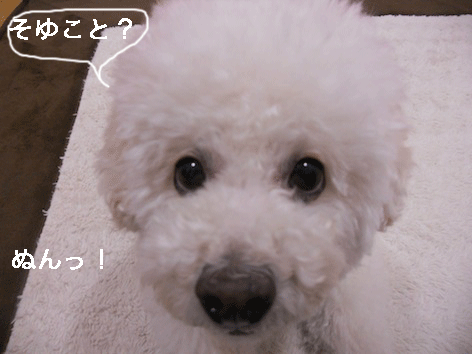 DSCN1060.gif