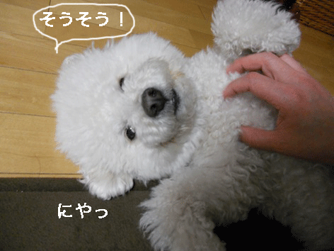 DSCN1245.gif