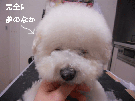 DSCN1843.gif