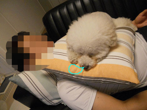 DSCN2352.gif
