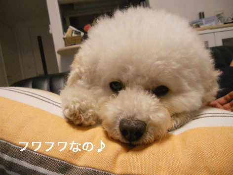 DSCN2353.gif
