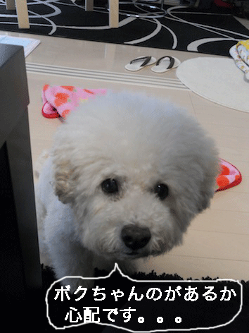 DSCN2964.gif