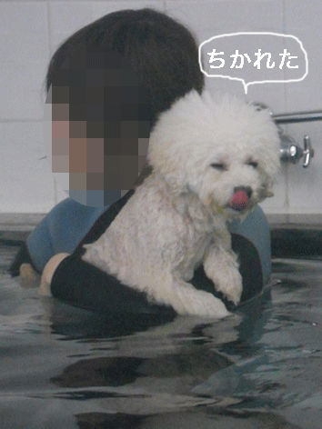 DSCN2971.gif