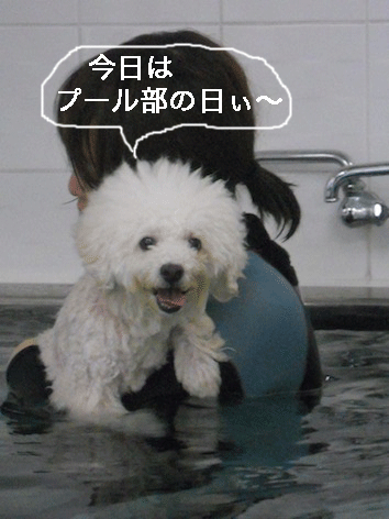 DSCN2973.gif