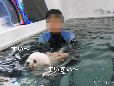 DSCN2978.gif