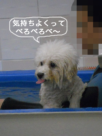 DSCN2982.gif