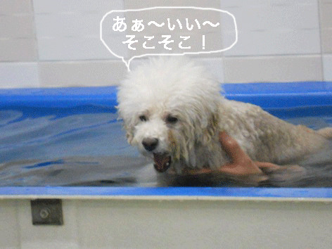 DSCN2984.gif