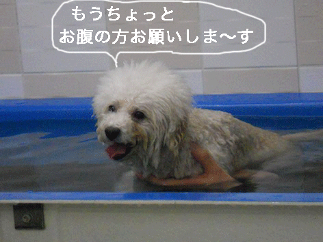 DSCN2985.gif